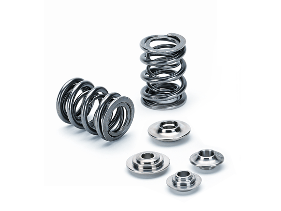 dual-spring-kit Generic
